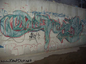 detea01.JPG
