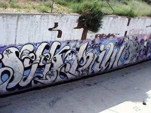 selek2.jpg