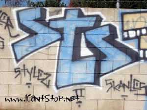 sts1.JPG