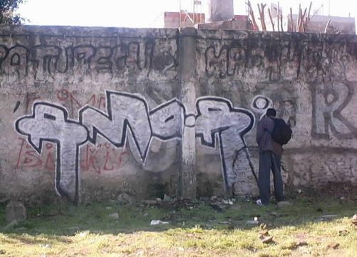 amor1mexicowall.jpg