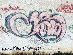 bravo11.JPG