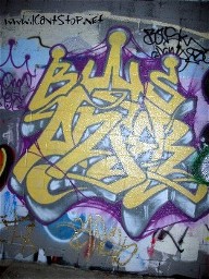 bws01.JPG