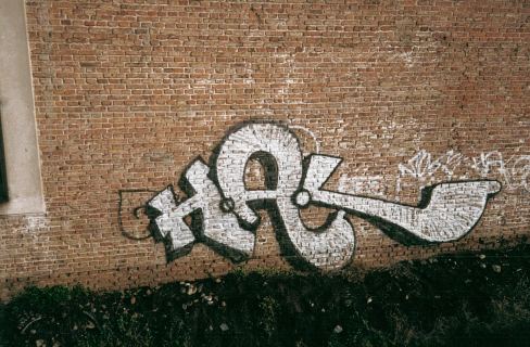 hale5wall.jpg