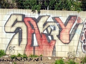sary1sts.JPG