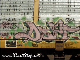 train_dser.JPG