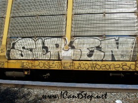 train_siren.JPG
