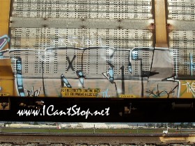 train_trenz.JPG