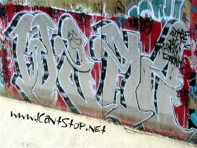 webs1.JPG
